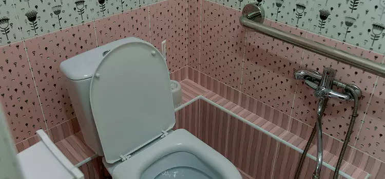 Meeting Diverse Needs With Accessible Restroom Solutions in Collinsville, IL
